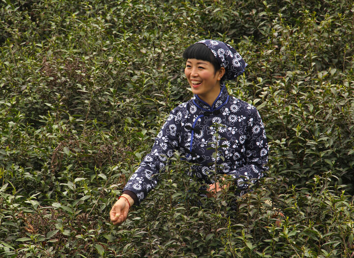 最新更新 4